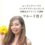 フルード貴子のフラワーエッセンスカウンセリング